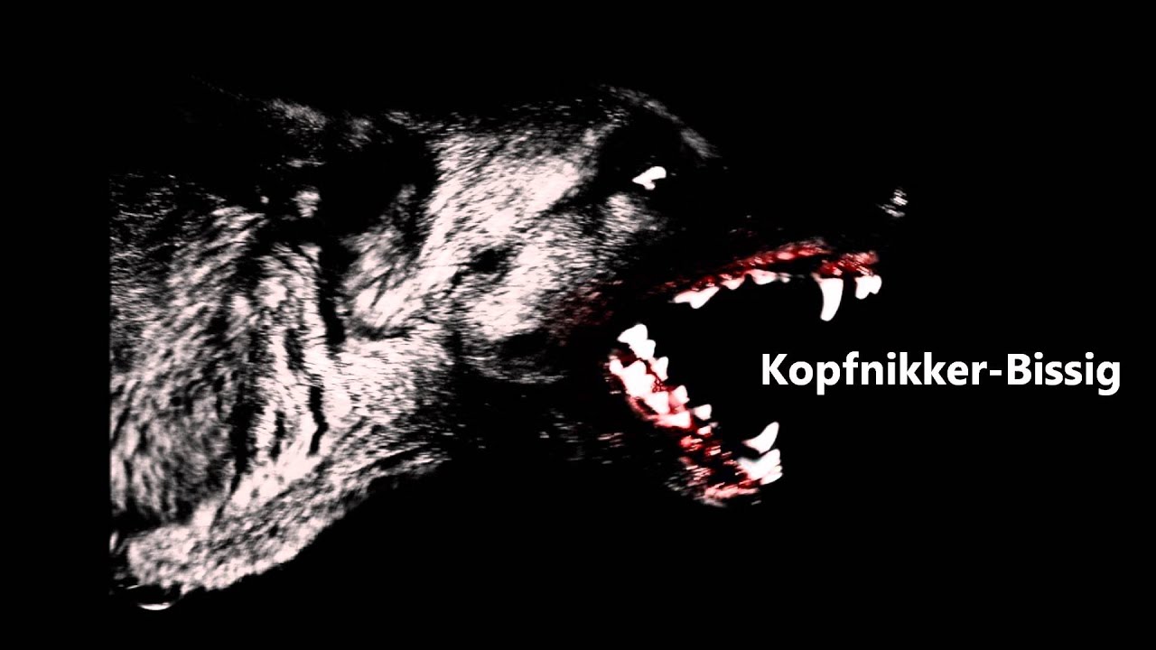 Watch Kopfnikker Bissig on YouTube Watch Kopfnikker Bissig on YouTube