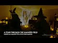 A tour through the haunted field