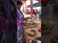 ربيع جازان جنوب غرب السعودية