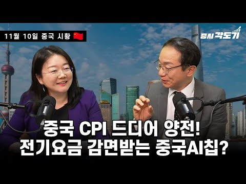 [11월 10일  중국시황]중국 CPI 드디어 양전! 전기요금 감면받는 중국AI칩 어떻게 될까?