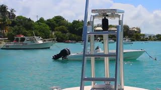 LilliPad Diving Boards