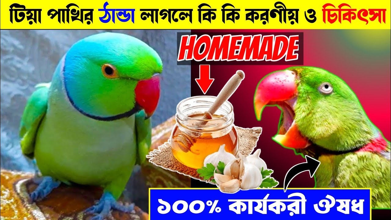 Jinsiy aloqa paytida mening qinim xirillab turadi Jinsiy aloqa paytida mening qinim xirillab turadi