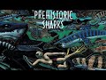 Capture de la vidéo Prehistoric Sharks