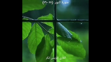 Surah Noor by Sheikh Idress Abkar ❤️  سورة النور بصوت الشيخ إدريس أبكر