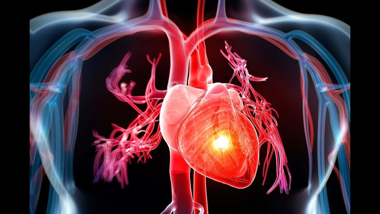 CVS 2021 CONDENSED COURSE, LECTURE 4 , ECG