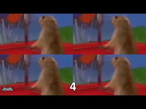 Dramatic Chipmunk - Played 1,048,576 Times
