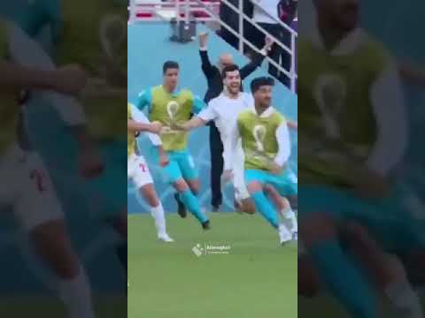 خوسحالی خایه مال ها مهسا امینی 