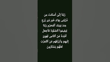 #القرآن_الكريم #راحة_نفسية #تلاوات #صلوا_على_النبي