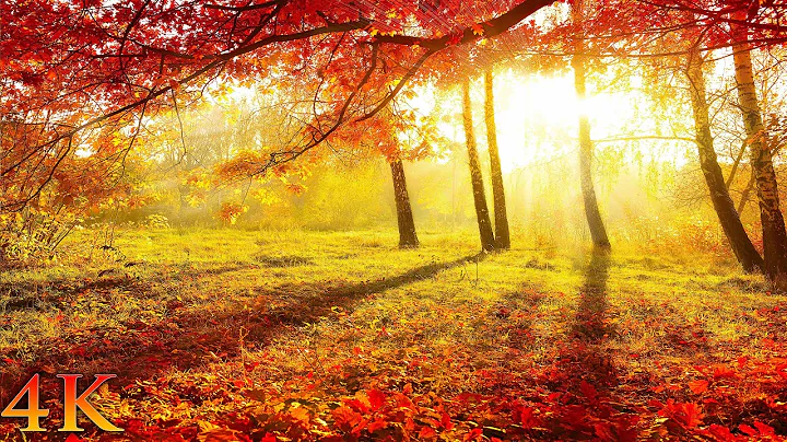 11 Hours of Enchanting Autumn Scenes (NO MUSIC) + ...