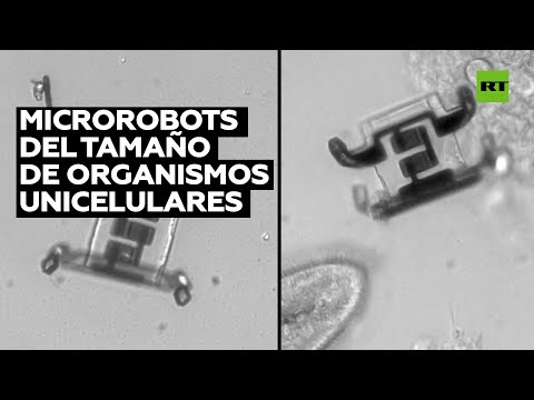 Video: Un Robot Con Ventosas Examinará La Piel Con Un Microscopio