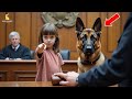 Mute Girl Clutches Her Dog in Court—Then Does Something That Silences the Room