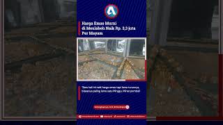 Harga Emas Murni di Meulaboh Naik Rp. 3,3 juta Per Mayam. #anteroaceh #emas #hargaemas #meulaboh