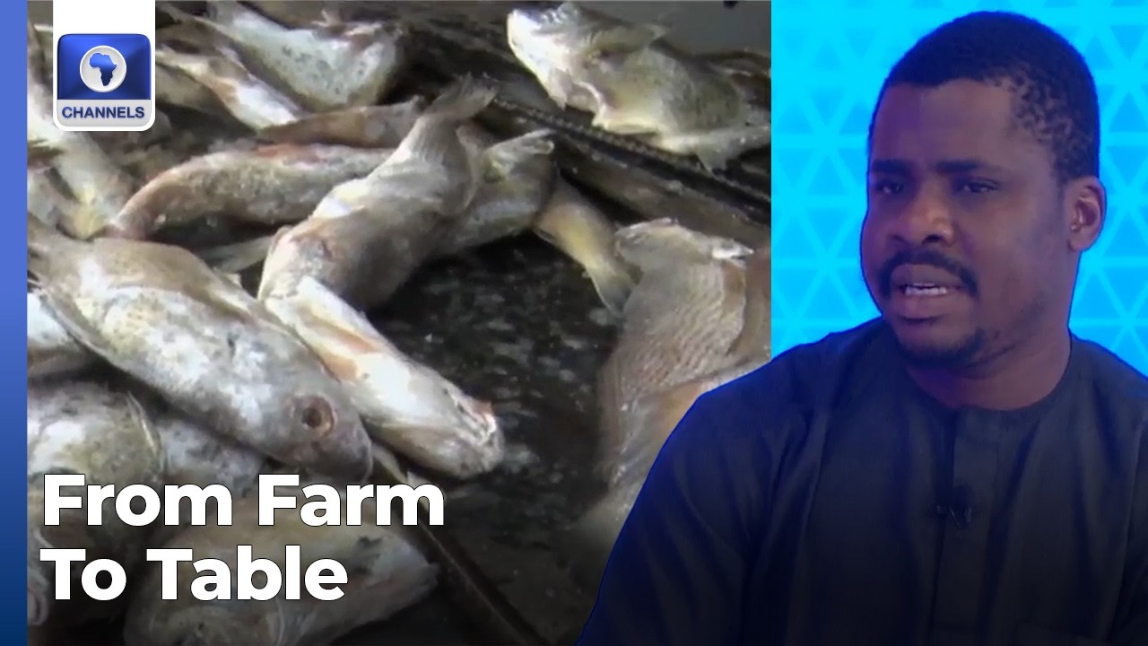 From Farm To Table What Must Change To Make Food Affordable In Nigeria