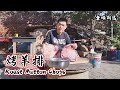 【食味阿远】阿远想吃烤羊排，买了两扇，一扇直接烤一扇煮完烤，味道差别大 | Roast Mutton Chops | Shi Wei A Yuan