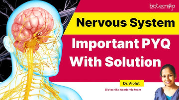 Nervous System Important PYQ | In-depth Discussion on Key CSIR NET Life Science Unit 7 Concepts