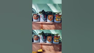 DIY Planters/Best Out Of Waste #youtubeshorts #shortvideo #shorts