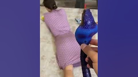 Thử thách troll thả rắn vào trong quần người yêu cũ và cái kết #shorts