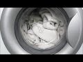 One big thing in washing machine LG / Может, когда хочет / Стиральная машина LG "Повседневная"