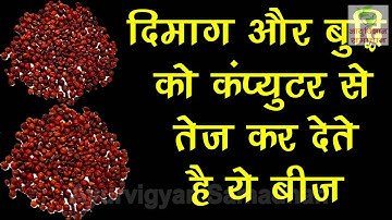 दिमाग को कंप्यूटर से भी तेज, याददाश्त बढ़ाने के सबसे आसान, कारगर तरीके, How to Increase Memory Seeds