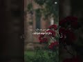 قال قدأجيبت دعوتكما ❤️ تلاوة روحانية جميلة خاشعة ❤️ #قران_كريم