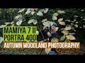 Autumn Woodland Film Photography | Mamiya 7 II + Portra 400