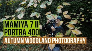 Autumn Woodland Film Photography | Mamiya 7 II + Portra 400