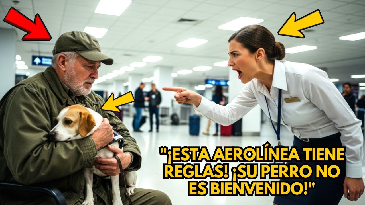 Negaron subir a un veterano con su perro de servicio—6 minutos después ...