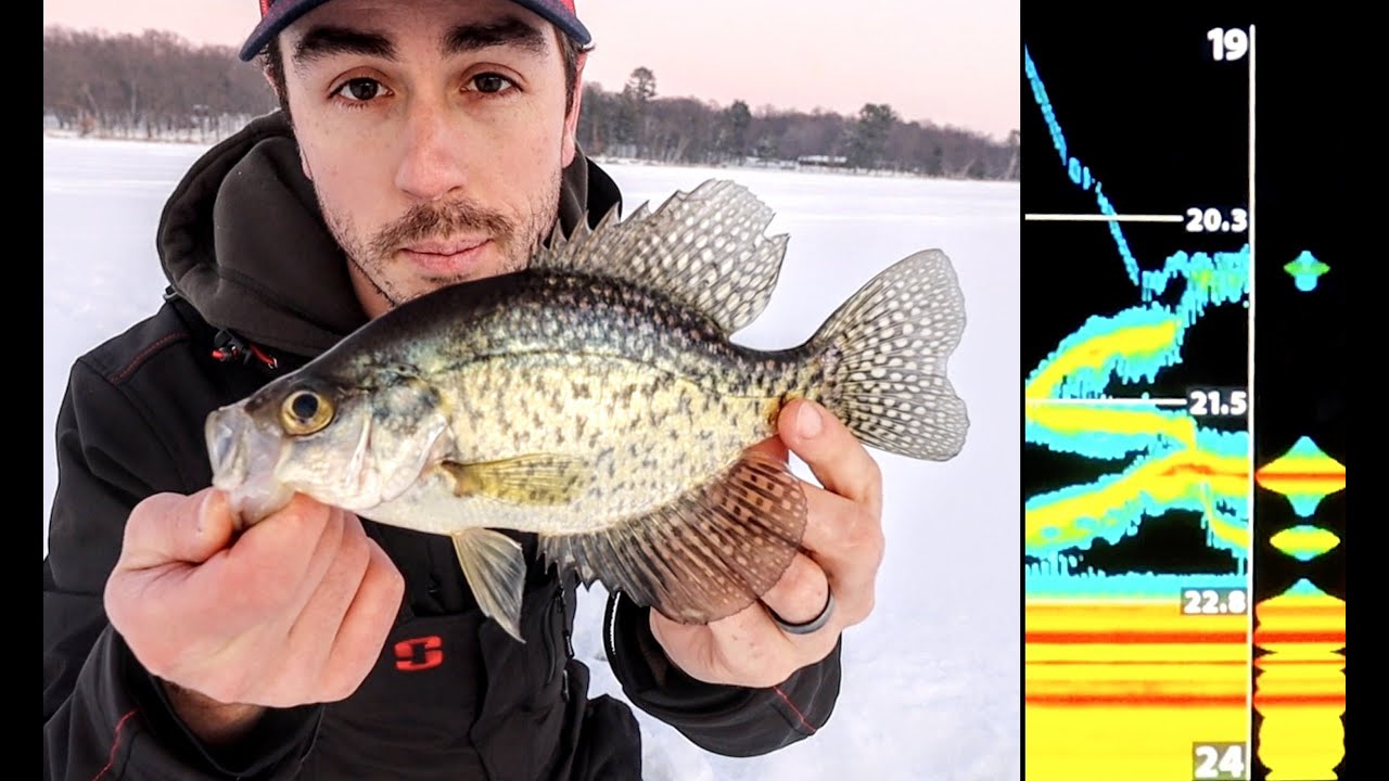 Early Ice Panfish, Will Pappenfus