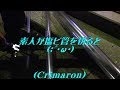 透明塩ビ管を切断・初めて電動式のこぎりを使って見た…【Cr'sAqua】“熱帯魚”⑳・《Crimaron Aquarium》熱帯魚水槽 (35)