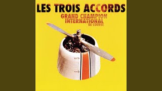 Video thumbnail of "Les Trois Accords - Tout nu sur la plage"