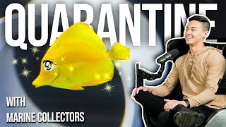 Fish Quarantine Secrets with Elliot Lim | Tidal Gardens Podcast Ep 6