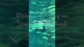 Chasing waterfalls-Marilyn ford (lyrics)