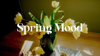 [Playlist] spring mood | a cozy and cheerful playlist