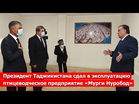 Президент Таджикистана Эмомали Рахмон сдал в эксплуатацию птицеводческое предприятие «Мурги Нуробод»