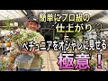 【寄せ植え】ペチュニアをおしゃれに見せる極意!
