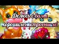 Я желаю вам хорошего настроения! Юмор и позитив !