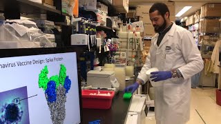 Experts scramble to find vaccine for coronavirus
