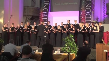 Jaakko Mäntyjärvi: Double, double toil and trouble  -  Juvenalia