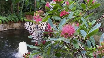 الشيخ سعود الشريم /سورة طه و سورة الدخان و  سورة يوسف saud al-shreem sourt yossef