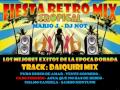 RETRO MIX - DAIQUIRI MIX - MARIO J.