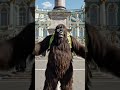 Bigfoot travels to Russia. #bigfootvlogs #ai #russia