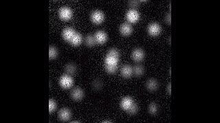 Hydra controlled by SuperCollider experiment.