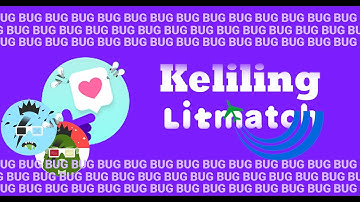 Bug Litmatch Avatar Lalat ( Keliling Room )