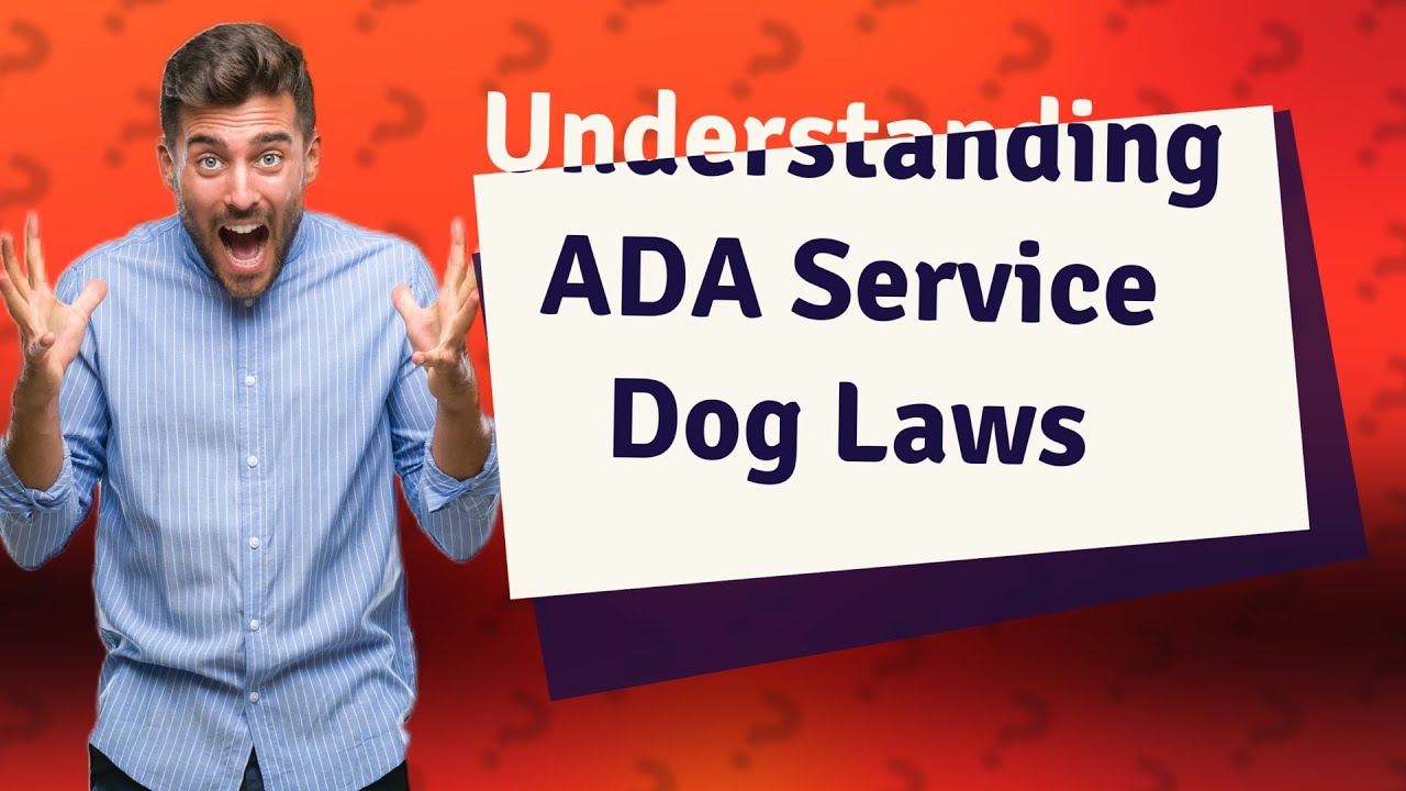 How Do ADA Service Dog Laws Work in the USA? YouTube