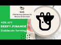 $1k - $100k Stablecoin Farming (40% APY on USD)