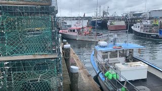 'Collateral damage:' Maine lobster industry loses certification from sustainability group
