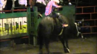 Rancho El Mirador Toro Mini Cooper De Maximino Toledano En Ventanas Gerrero