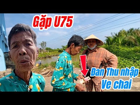 Bất ngờ gặp lại”U75”ngay lúc cô thu hoạch ve chai khủng #vinhcuibaptv 