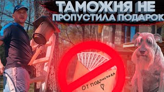 Подарок конфисковали таможенники . Индюшата и Дик целый день гуляют . Вермикс удобрение для огорода