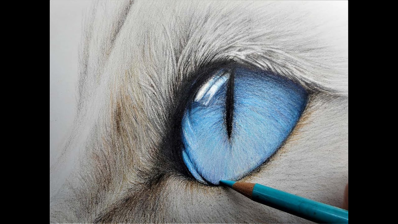 色鉛筆画　Eyes Toward Hope （希望へ向かう瞳） 色鉛筆 塗り方 ブルーの瞳 【写実的に、初心者でも色えんぴつで簡単に